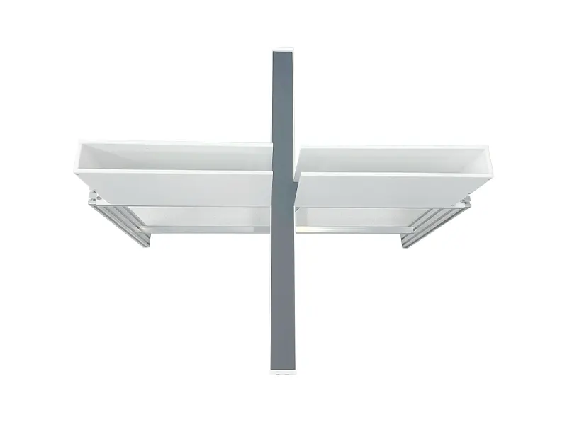 Elevated Plus Maze for Mice and Rats