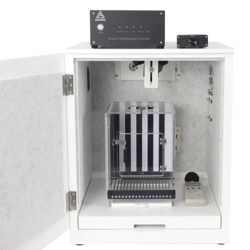 Fear Conditioning rat